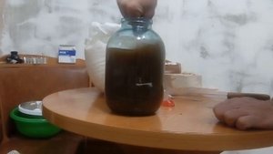 как сделать домашний квас из березового сока,  homemade kvass from birch sap