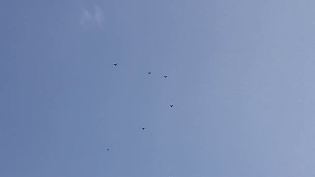 Вечерняя разминка... смотреть онлайн