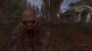 КРОВОСОС СТАЛКЕР. КТО ОН?