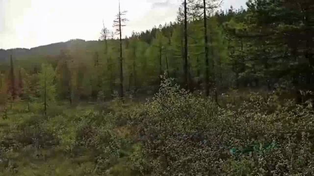 Часть 2 Жемчуг Закаменск