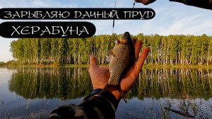 ХЕРАБУНА МЕШАЕТ ЛЮБВИ?!