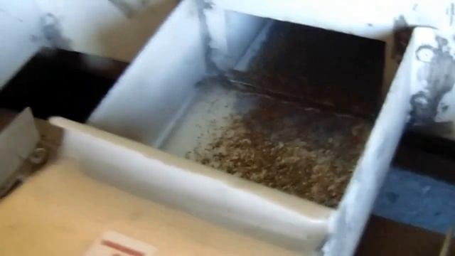 Очистка люцерны на Петкус К-531 Cleaning alfalfa Petkus K-531 смотреть онлайн