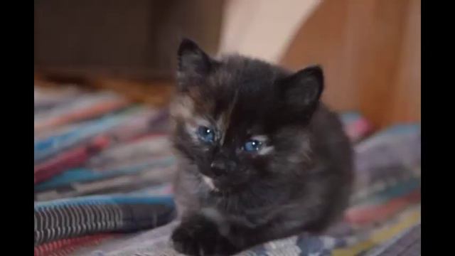 Мои детские фото смотреть онлайн