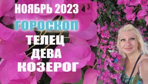 Гороскоп ТЕЛЕЦ ДЕВА КОЗЕРОГ ноябрь 2023 Прогноз Светлана ВЕДА