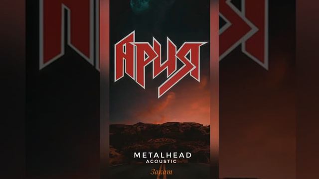 METALHEAD- закат”live” (Ария) акустика