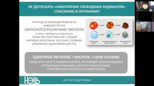 Роль и значение цеолита простыми словами.