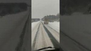 Красное белое разрешили водителям выпивать за рулем