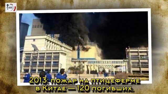 Крупнейшие пожары в мире за последние 10 лет: смотреть онлайн
