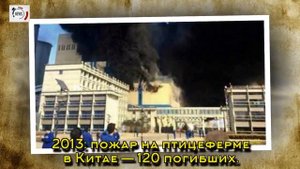 Крупнейшие пожары в мире за последние 10 лет: