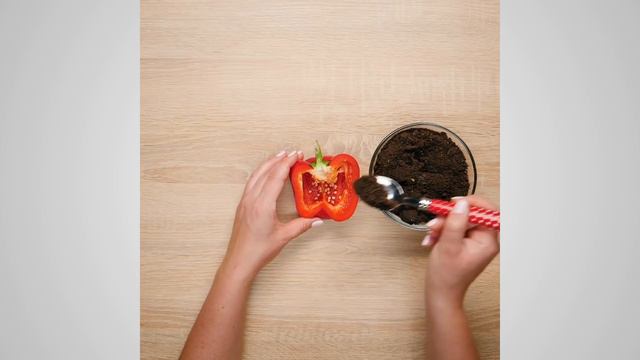 Plant Hacks That Will Turn Your Home Into A Greenhouse At Ease смотреть онлайн