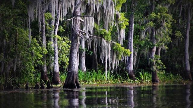 Mosquito Dance - B. Bartok performed on violin and cello смотреть онлайн