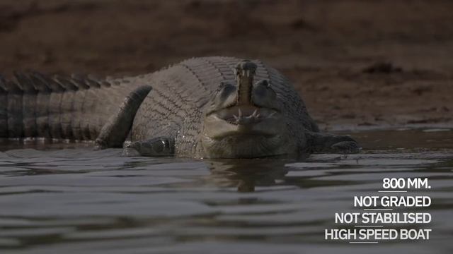 Canon 1DX Mark III _ Why I love it! смотреть онлайн