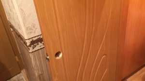 Двери Bravo Браво !