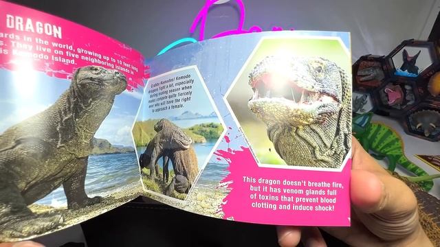 Reptiles Collection - Crocodiles, Chameleon, Komodo Dragon, Bearded Dragon, Alligator, Caiman смотреть онлайн