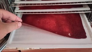 Обзор сушилки Kitfort KT-1911