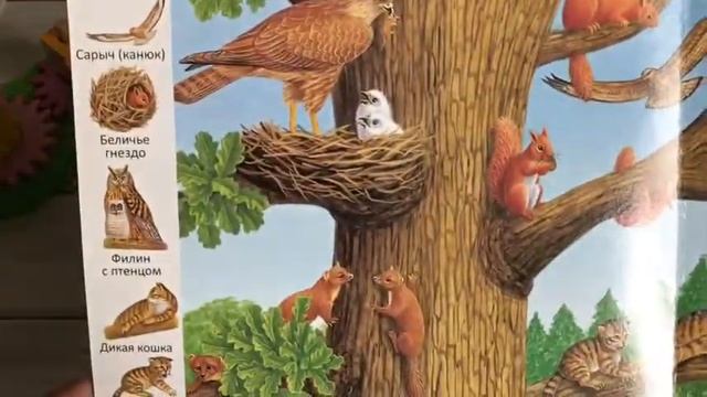 ОбзорКниги ? Где обитают животные  - Первые книги малыша Учим новые слова - изд Улыбка