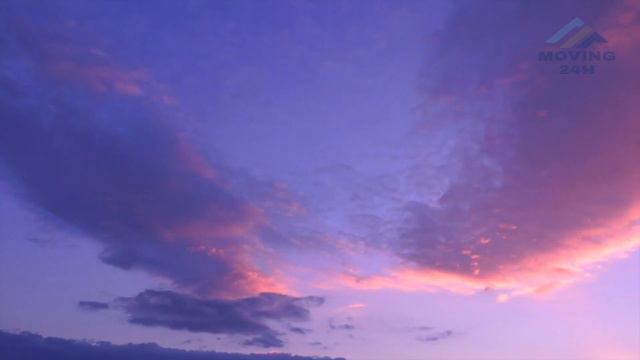 【MOVING 24h08月16日】#王一博辟谣女顶流传闻后狗仔放话甩实锤，扑朔迷离引热议 #wangyibo #cbiz смотреть онлайн