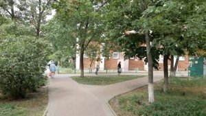 Panasonic Lumix DMC-G80. Пример видео с оптической и электронной стабилизацией