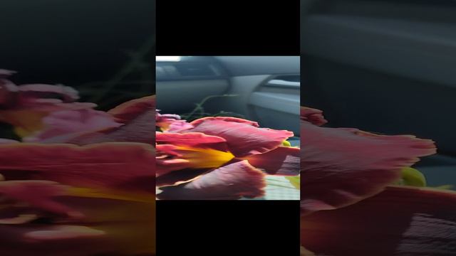 1000014591.mp4