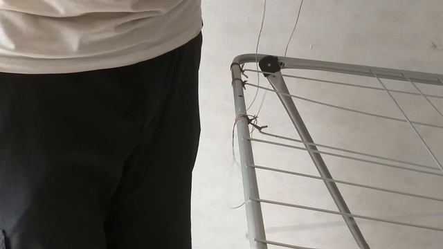 Как починить сушилку смотреть онлайн