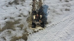 Сокол по талому полю