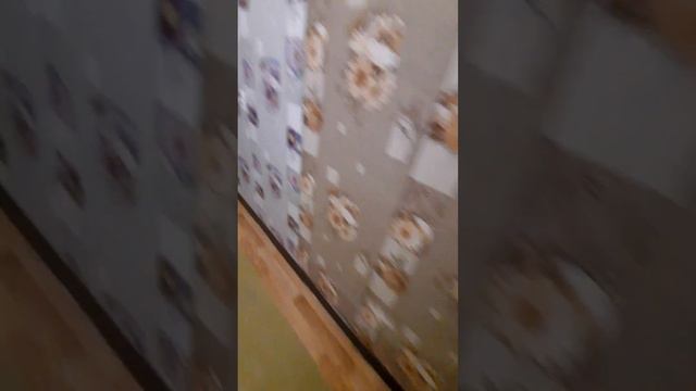 Сиреневый 11,кв 4(1) смотреть онлайн