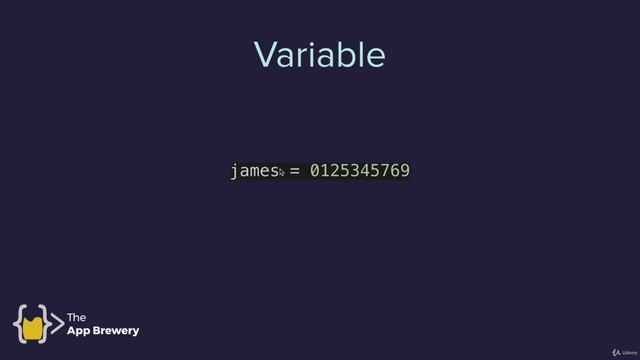 Day 1 - Working with Variables in Python to Manage Data - 011 Python Variables