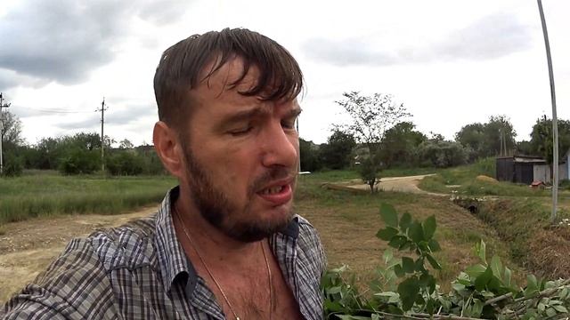 Сено или зеленка? \\ Результат удивил! \\ Влог нашей семьи.
