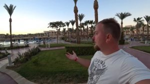 Египет. Погода сейчас. Я такого не видел! Риф в отеле Albatros Palace Хургада. Интернет в Египте