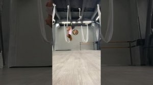 Связка на гамаке подходит для Аэростретчинг / Air stretching