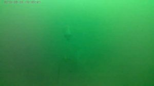 Дайвинг "Лисицинский карьер"