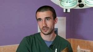 Стерилизация собак. Часть 4.   Что будет после стерилизации_ Пагубные последствия