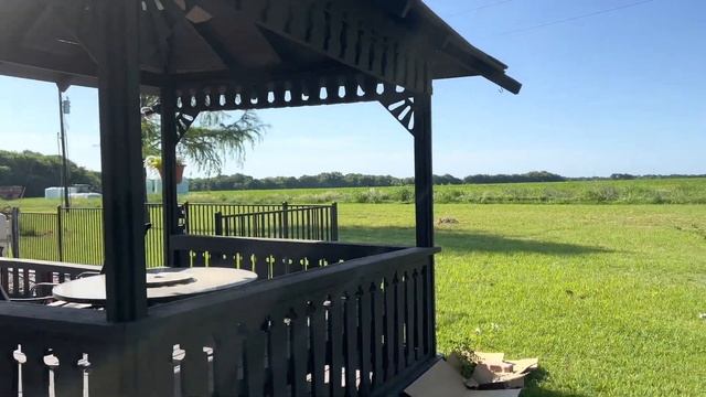 Update of David Austin roses 2 months | ?The Lady of the Lake & Claire Austin | Wendi’s Garden смотреть онлайн