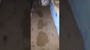 влажность в омшанике...17.12.21г