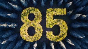 Кордон Алтай 85 лет