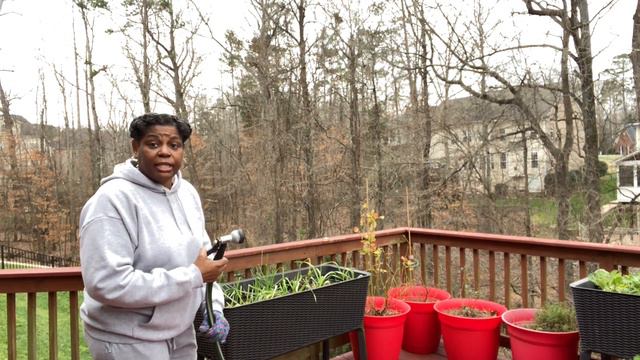 Winter Storm EMERGENCY Plant Protection | How To Protect Your Plants From The Storm смотреть онлайн