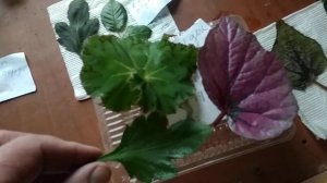 СТАБИЛИЗАЦИЯ ЦВЕТОВ и зачем это надо. Почему глицерин не подходит.