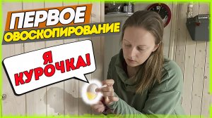 Показываем как зарождается жизнь в яйце. Прооперировали всех котят. [Жизнь в деревне]