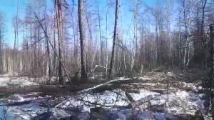 Захват трелевочный ЗТ 140 М(+7 925 589 65 90) Якутия суровые люди -суровый климат)))