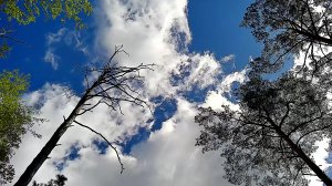 101 секрет трубача дыхание — сделано в Clipchamp