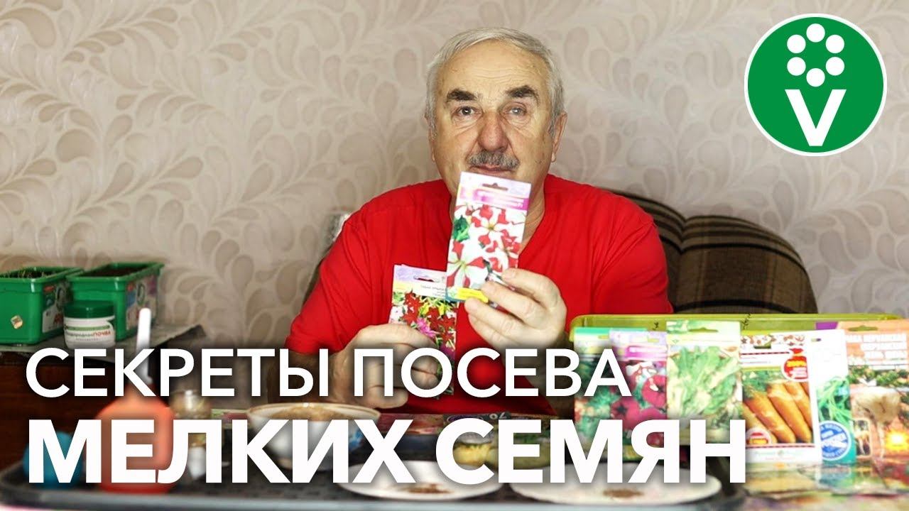 КАК СЕЯТЬ, ЕСЛИ СЕМЕНА КАК ПЫЛЬ? ВОСПОЛЬЗУЙТЕСЬ ЭТИМИ СПОСОБАМИ!