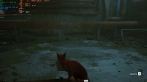 Stray на Intel Xeon e5 2640v4+GTX 1060 3GB