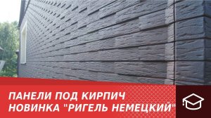 Панели под кирпич. Новинка "Ригель немецкий"
