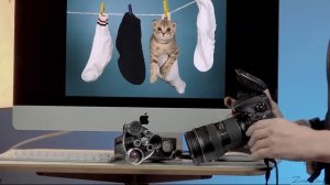 Фотошкола Олега Зотова. Урок 1