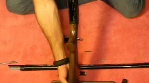 Beretta AL 391 Urika or A300 Outlander Assembly
