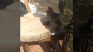 Столик своими руками из спила дерева!