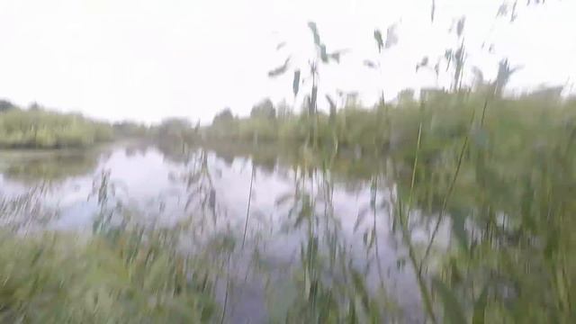 Охота на утку 2022 Беларусь.Открытие.