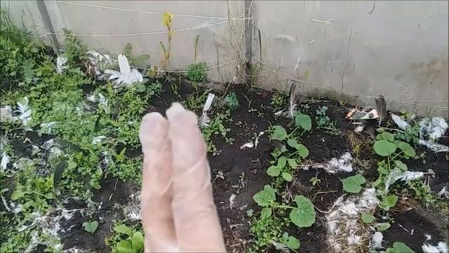 Работа в теплице кипит! смотреть онлайн