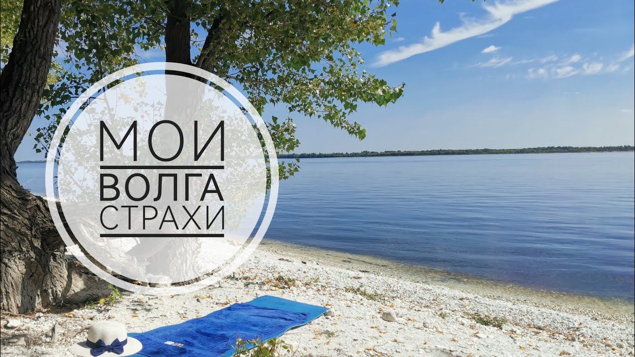 Серия 6. Отпуск с котом