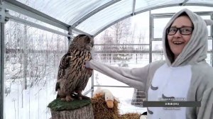 Yoll's добрый stream. Новогодний 2023-2024